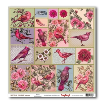 One-Sided Paper (12*12 – 180gsm) Birds of Paradise – Tropical , 10 Sheet Pack