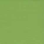 Sandable Textured Cardstock Fern, 12