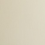 Textured Cardstock 12*12