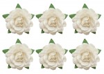 Tea roses' flowers, -18 mm diameter, 6 pcs, white