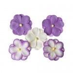 Pansies, a set of double flowers 5 pieces, purple