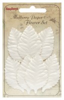 Set of Leaves (7 Pieces per pack) Rose White