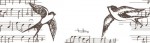 Transparent plastic tape SWALLOWS 15mm*10m